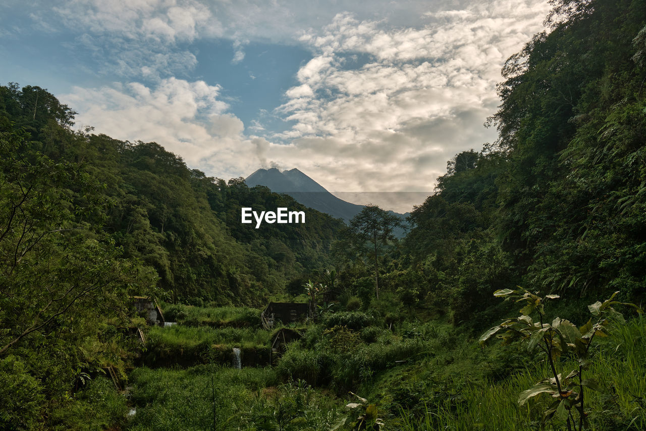 SCENIC VIEW OF MOUNTAIN AGAINST SKY