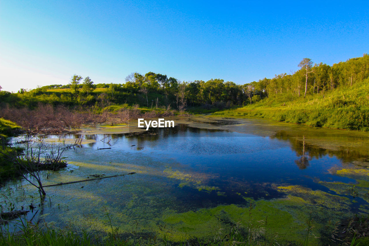 Scenic view of lake against clear sky