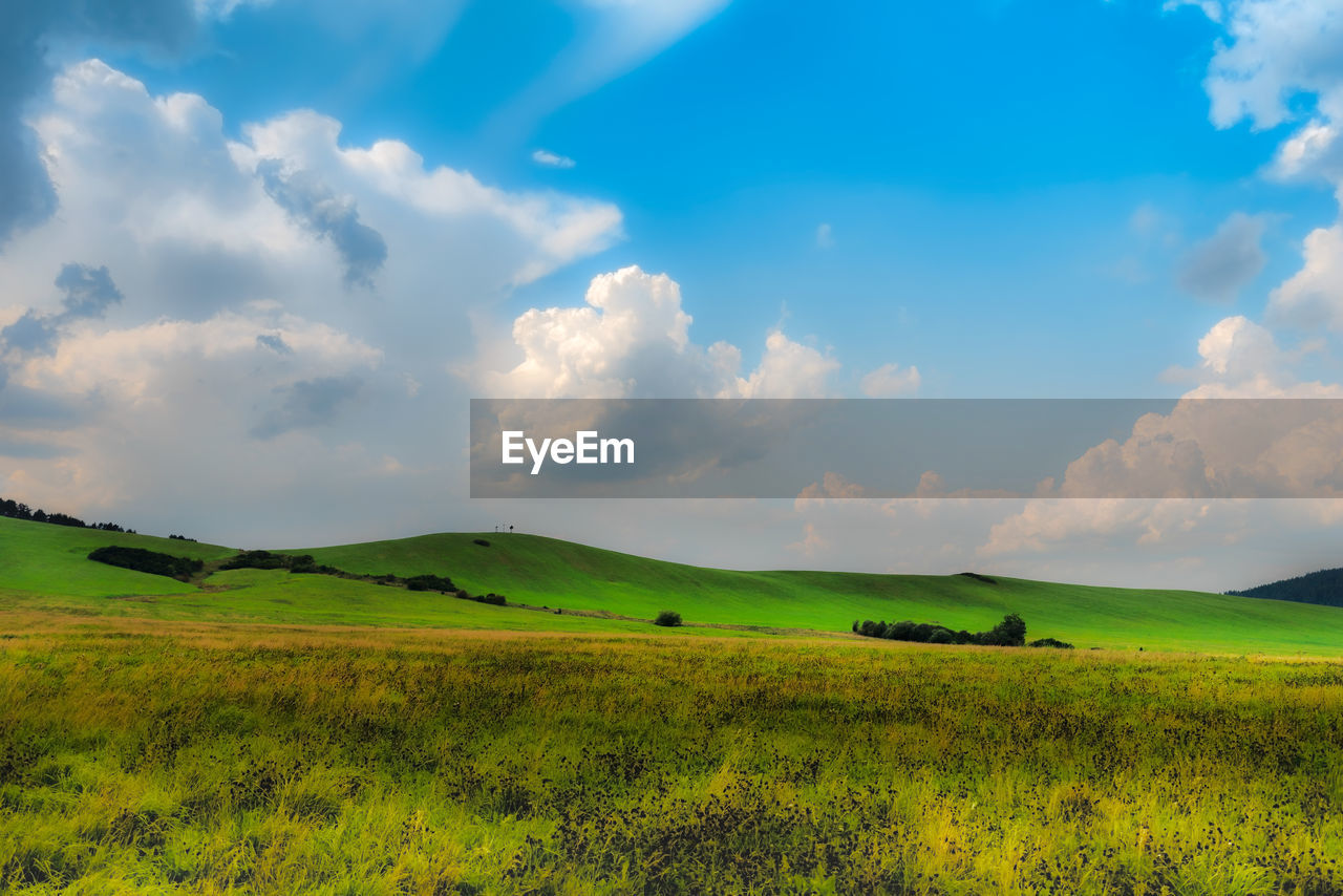 Scenic view of field against sky