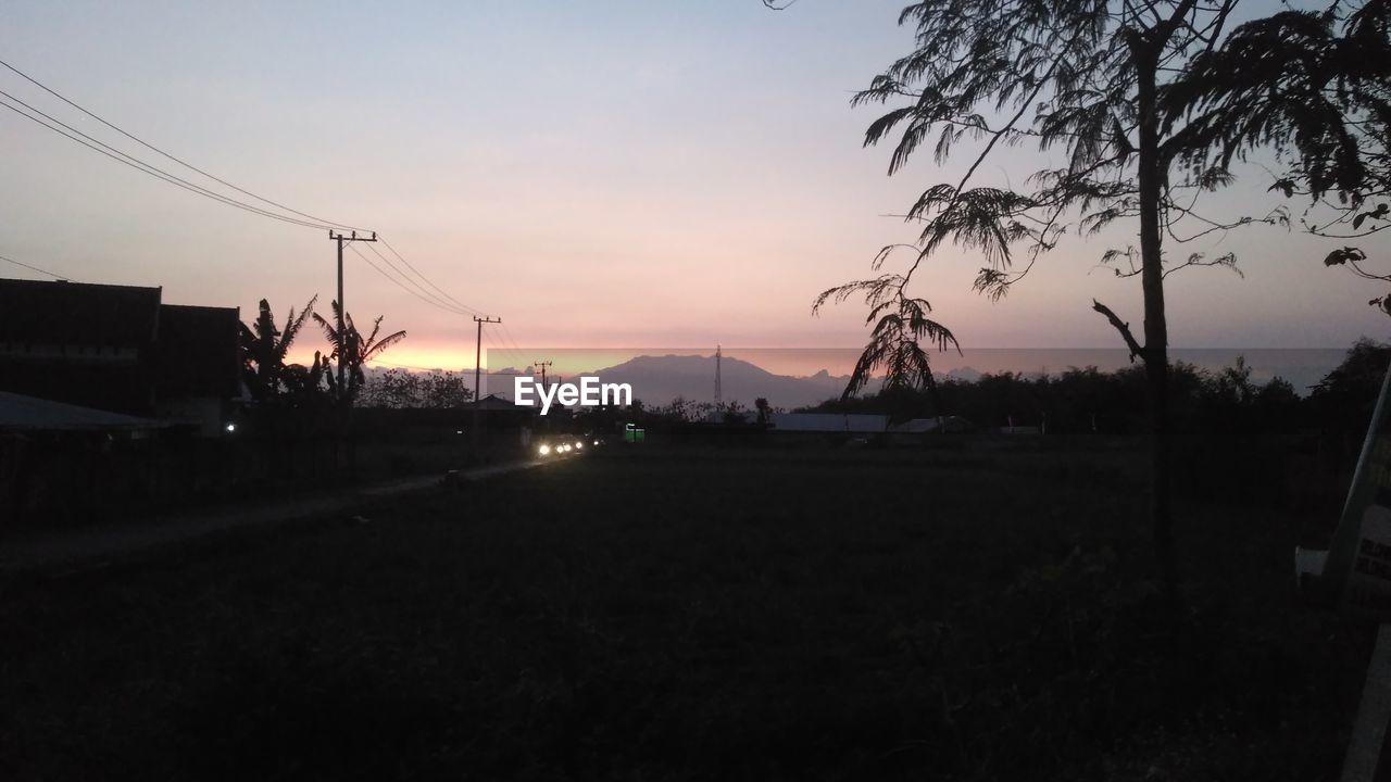 SILHOUETTE TREES ON LANDSCAPE AGAINST SKY DURING SUNSET