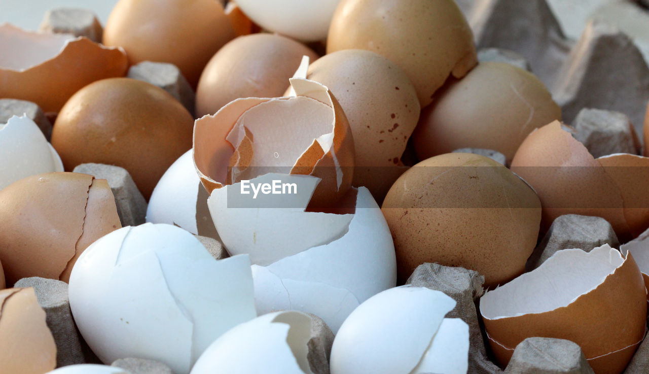 FULL FRAME SHOT OF EGGS IN PLATE