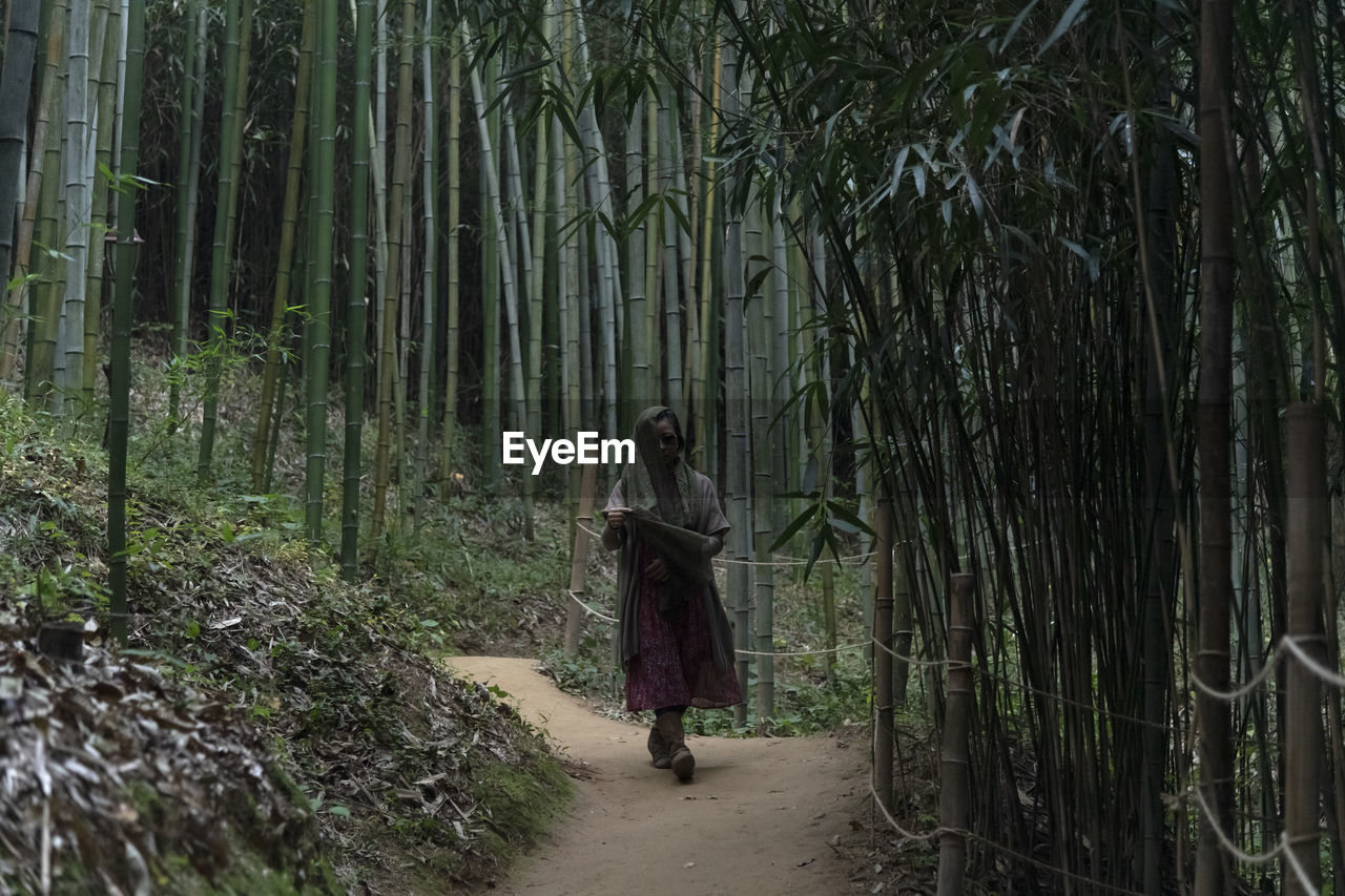 Rear view of woman walking in forest