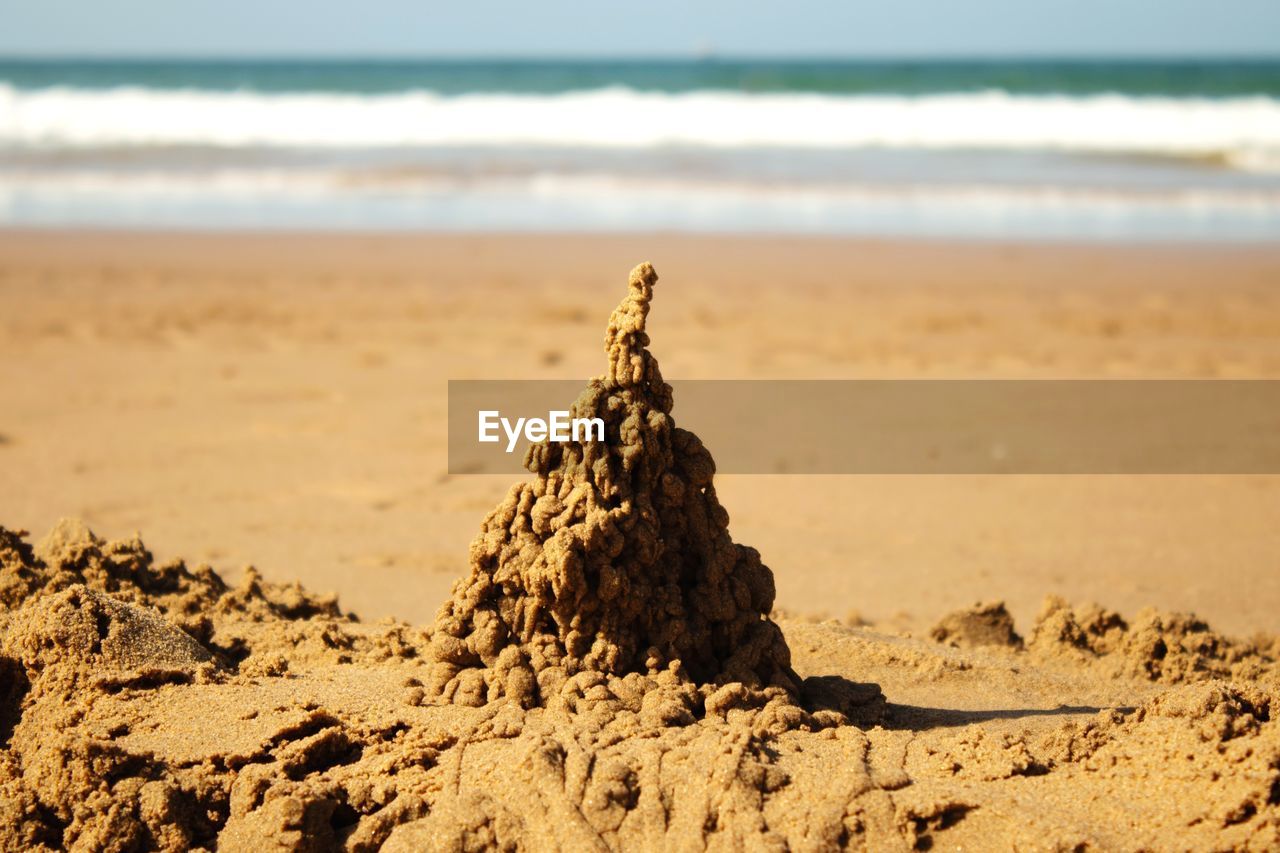 DRIFTWOOD ON BEACH