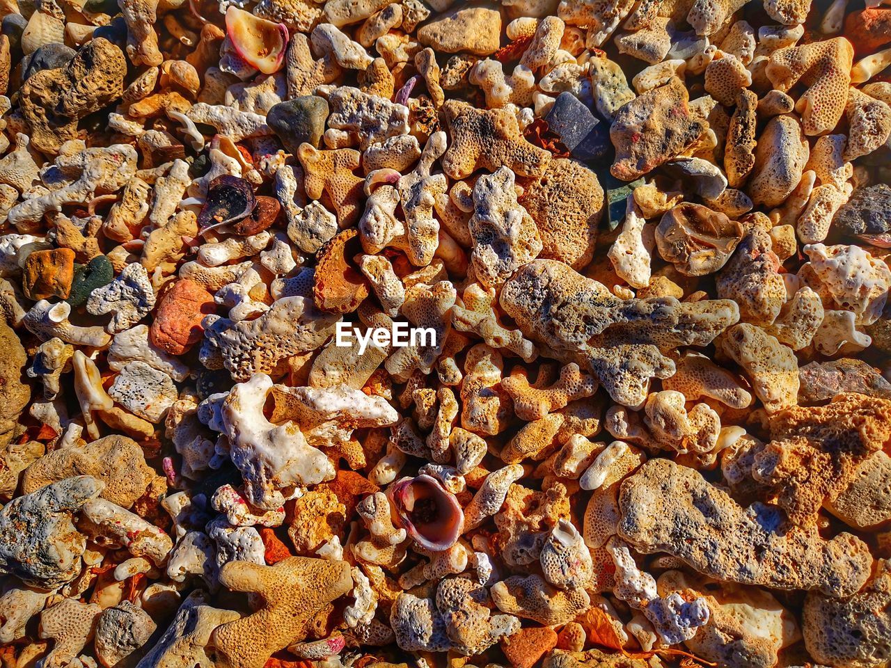 FULL FRAME SHOT OF PEBBLES ON ROCK