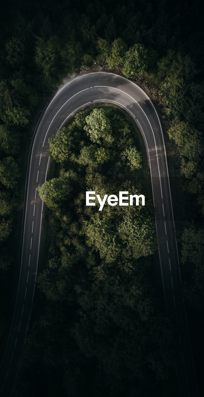 High angle view of road in forest