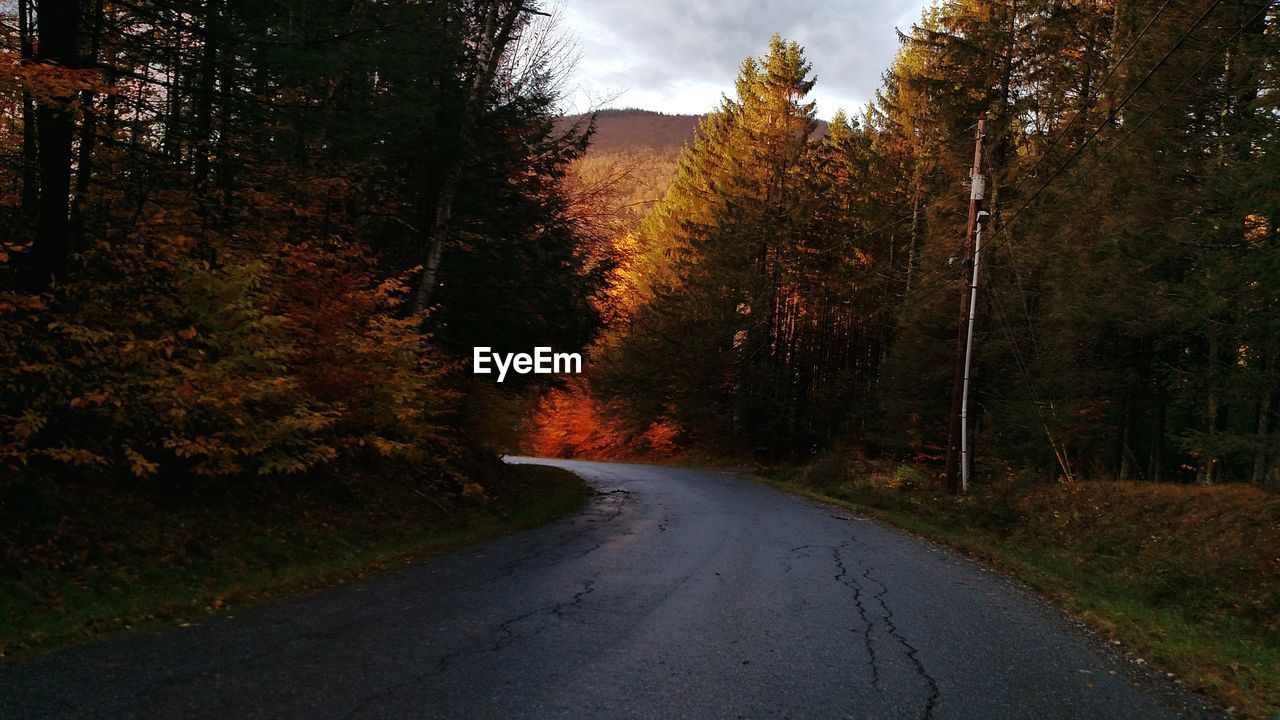 Road amidst trees during autumn