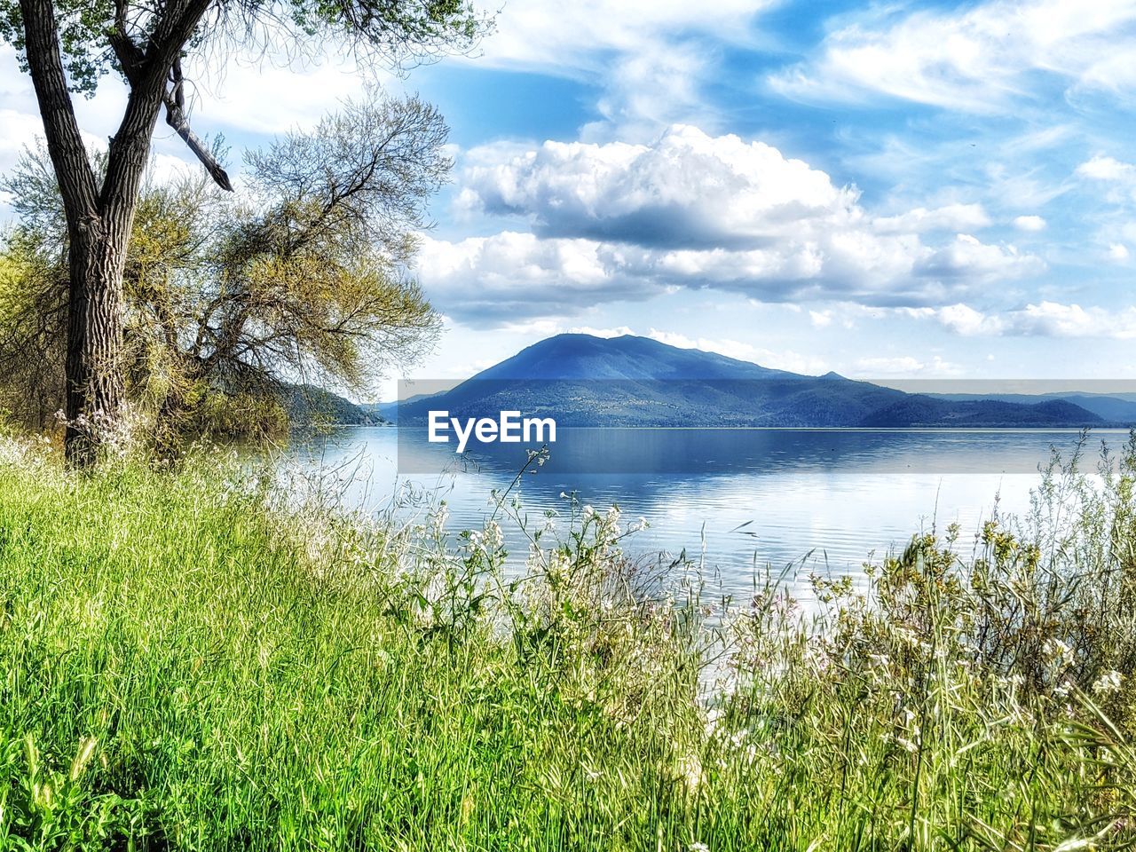 SCENIC VIEW OF LAKE AMIDST TREES AGAINST SKY