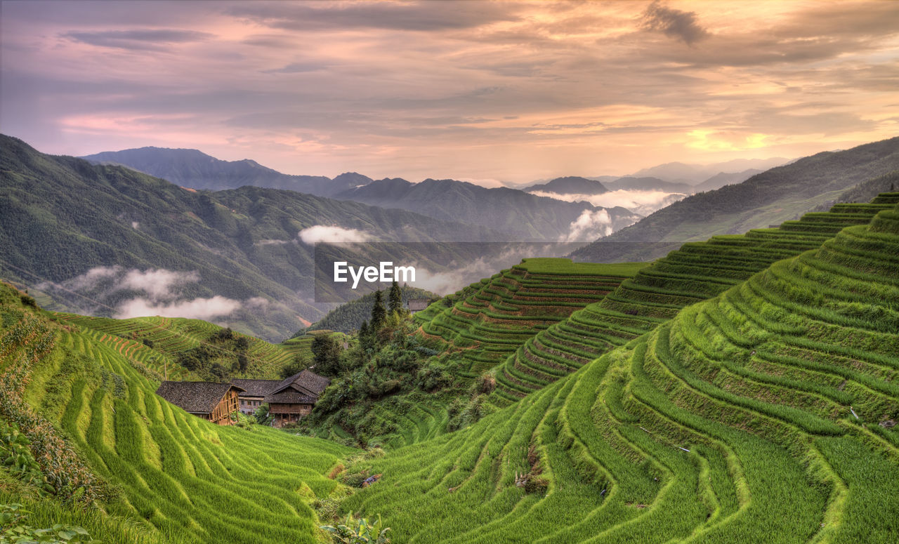 Scenic view of agricultural field against cloudy sky