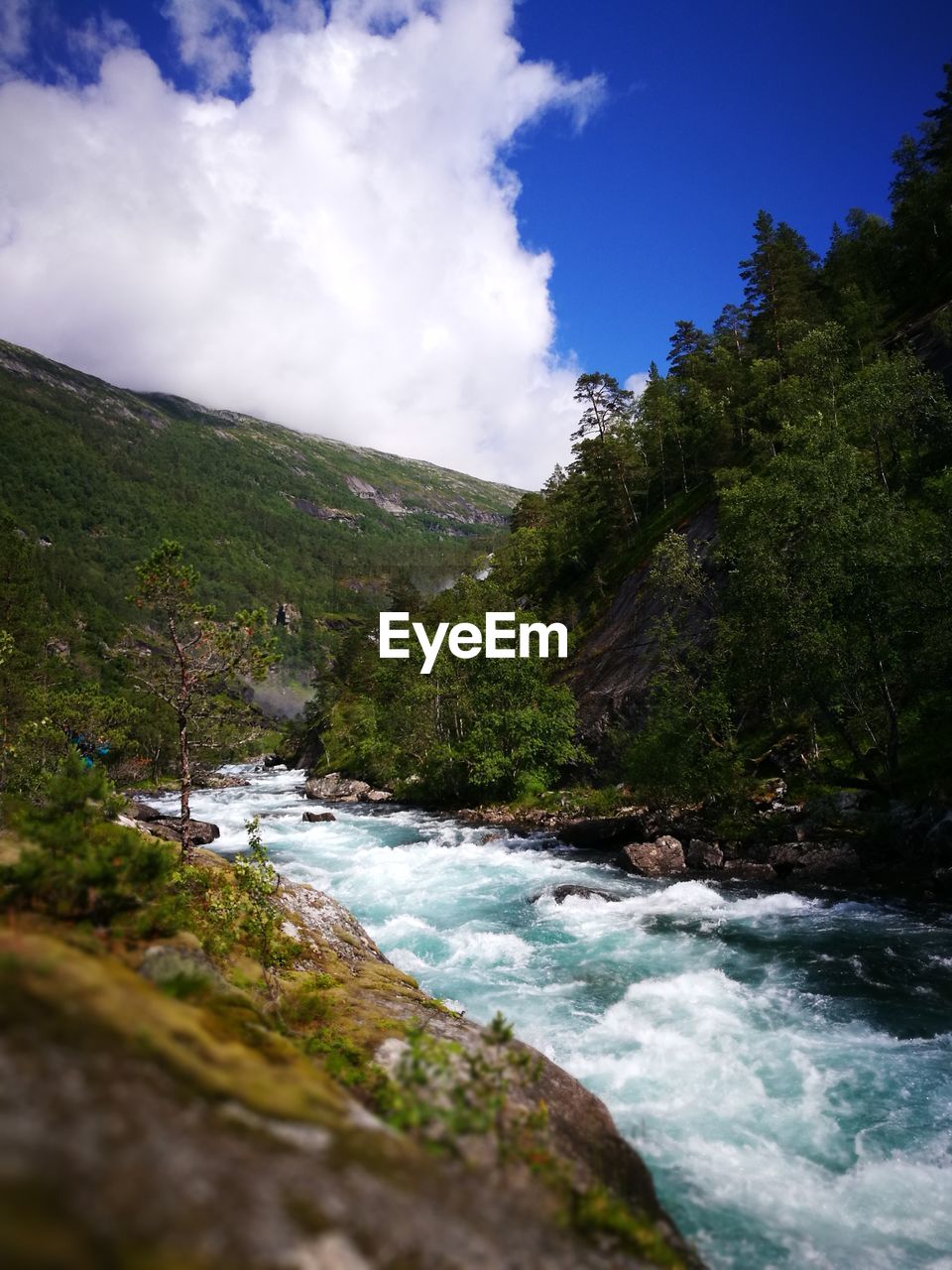 River flowing through rocks