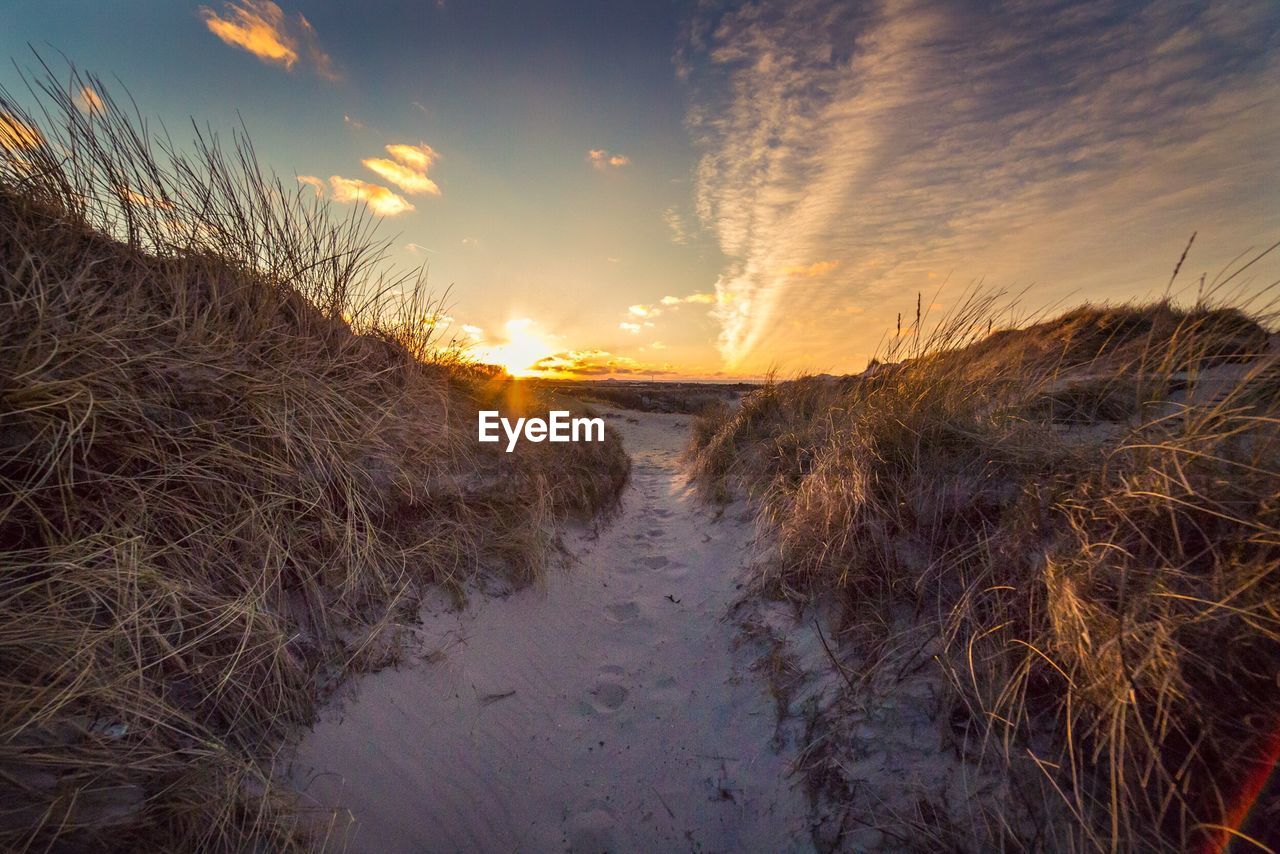 CLOSE-UP OF BEACH AGAINST SKY AT SUNSET