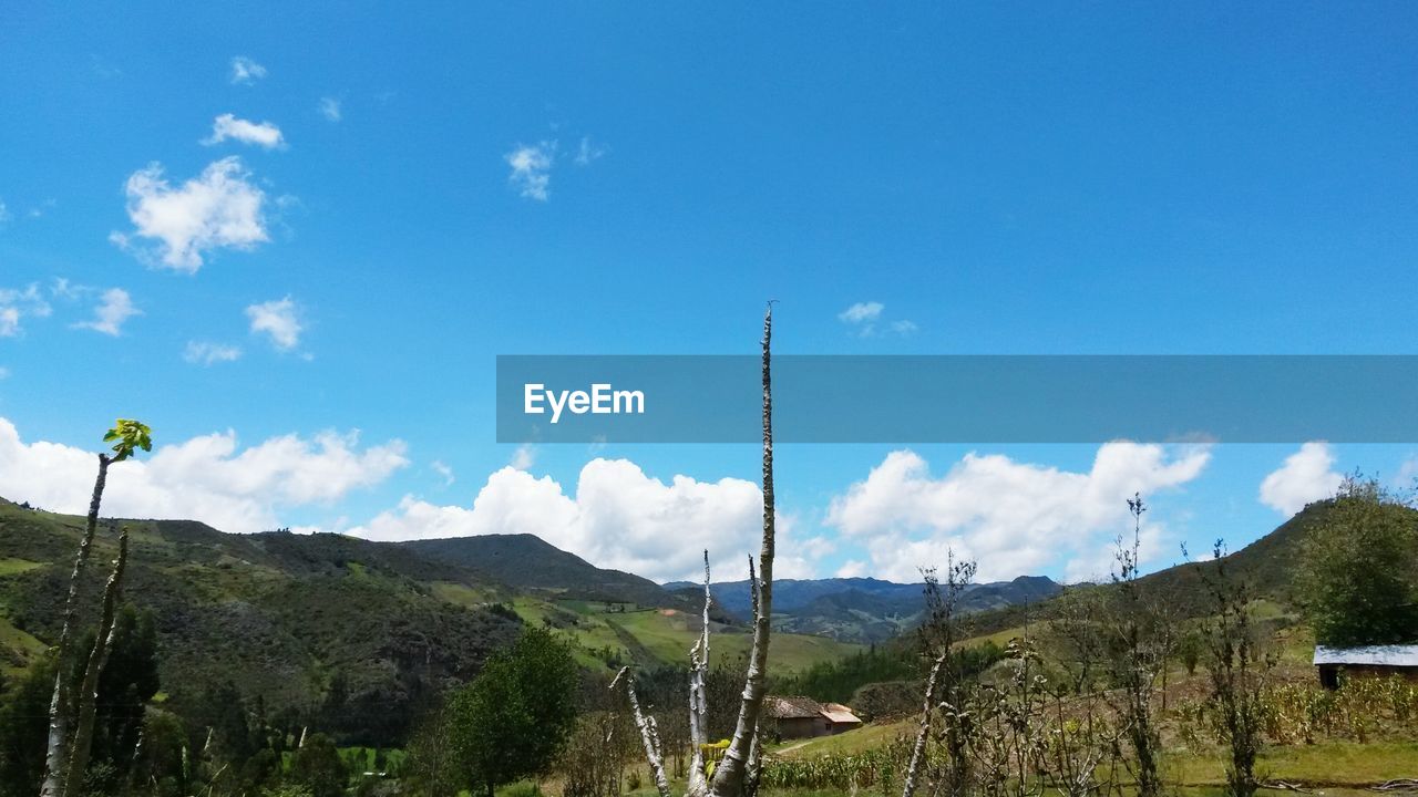 SCENIC VIEW OF LANDSCAPE AGAINST CLOUDY SKY