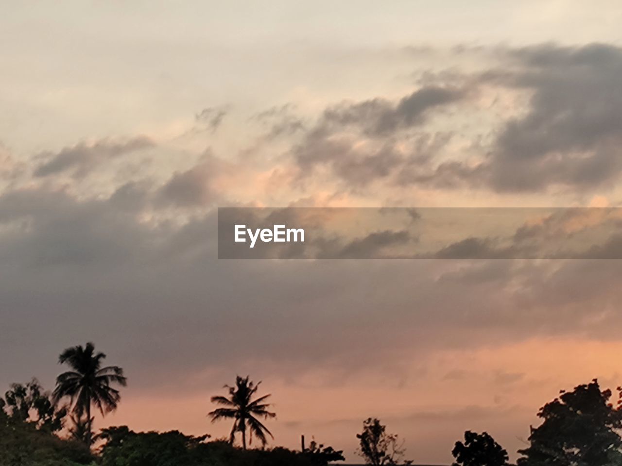 sky, tree, cloud, plant, sunset, environment, beauty in nature, tropical climate, nature, palm tree, scenics - nature, landscape, dusk, horizon, tranquility, land, silhouette, evening, travel destinations, dramatic sky, no people, travel, outdoors, tranquil scene, tourism, cloudscape, sunlight, twilight, holiday, idyllic, vacation, trip, sun, orange color, forest, non-urban scene, coconut palm tree, afterglow, savanna, tropical tree, copy space