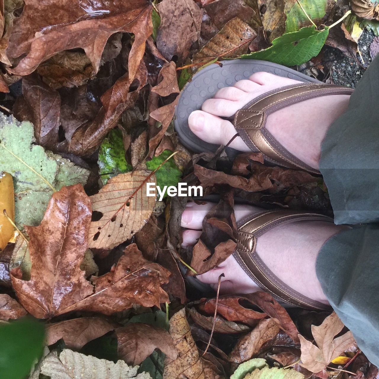 HIGH ANGLE VIEW OF HUMAN FEET ON GROUND