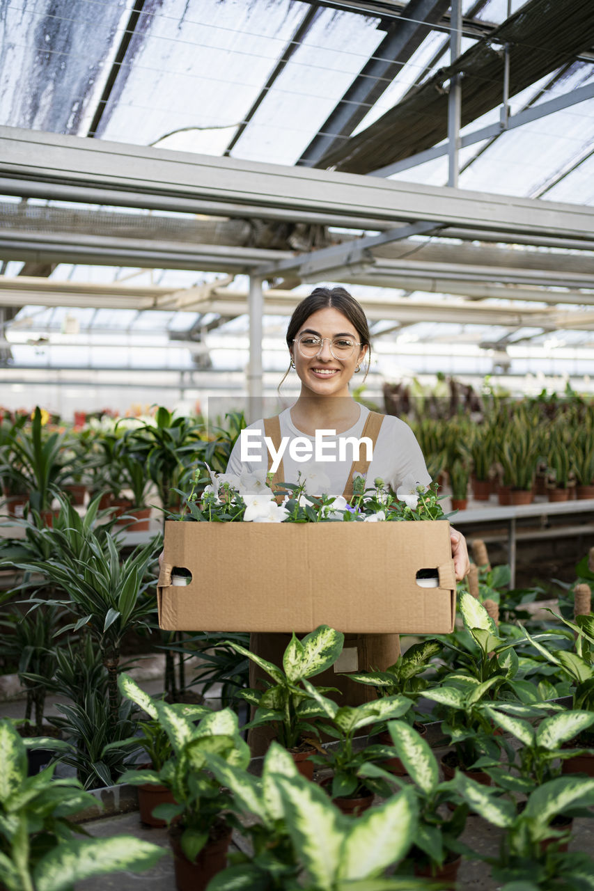 Happy gardener with box of flowering plants standing in greenhouse