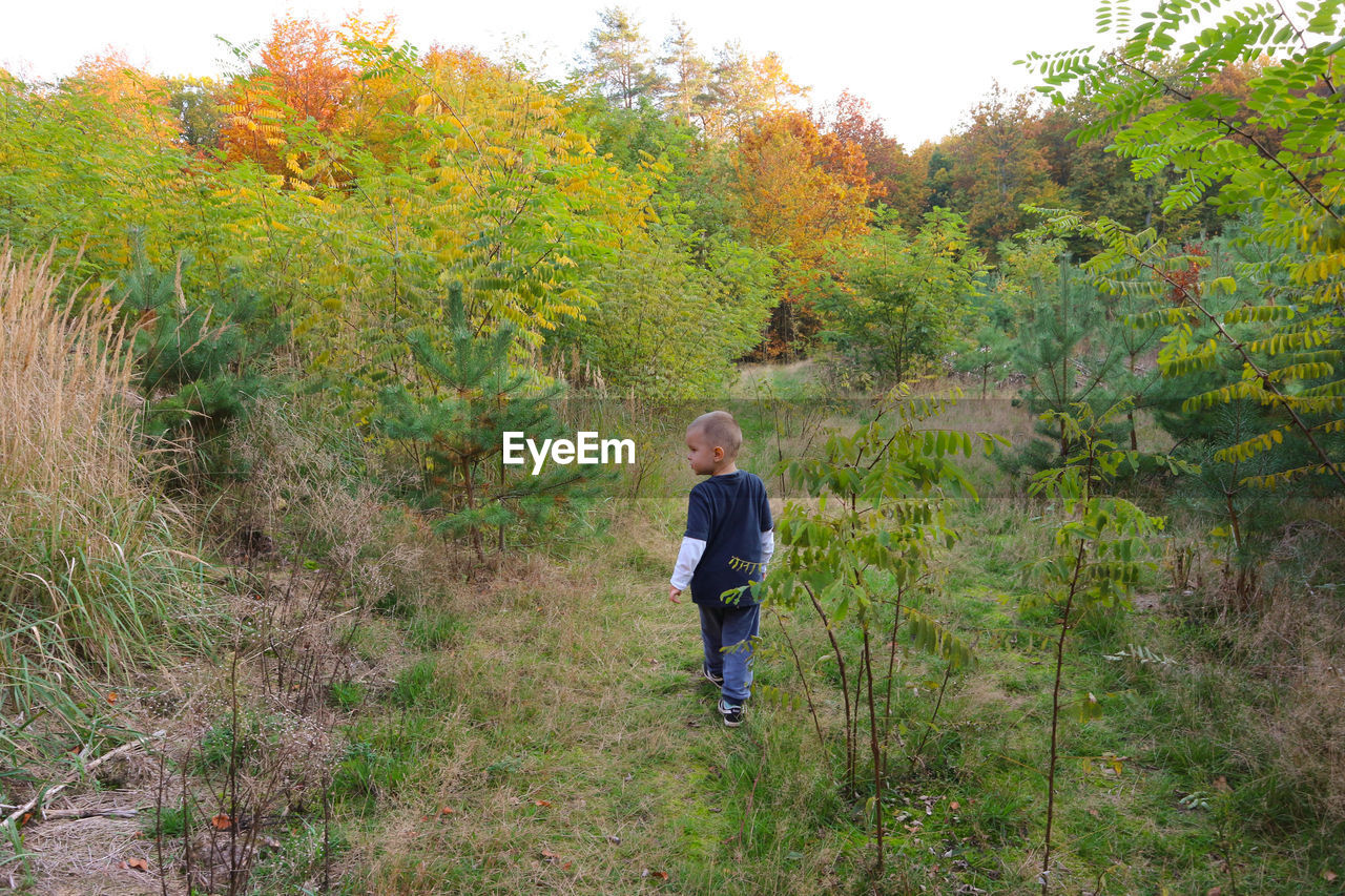 Rear view of boy walking amidst plants on land