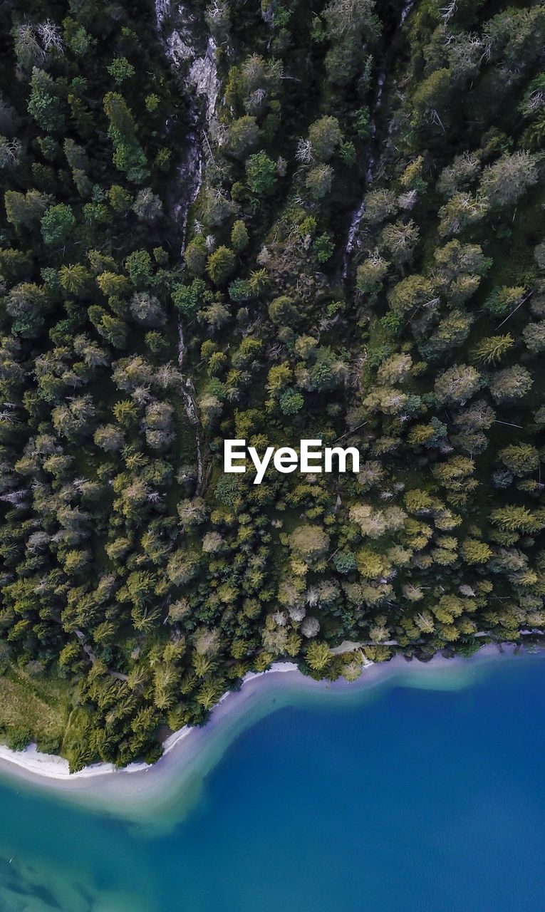 SCENIC VIEW OF LAKE