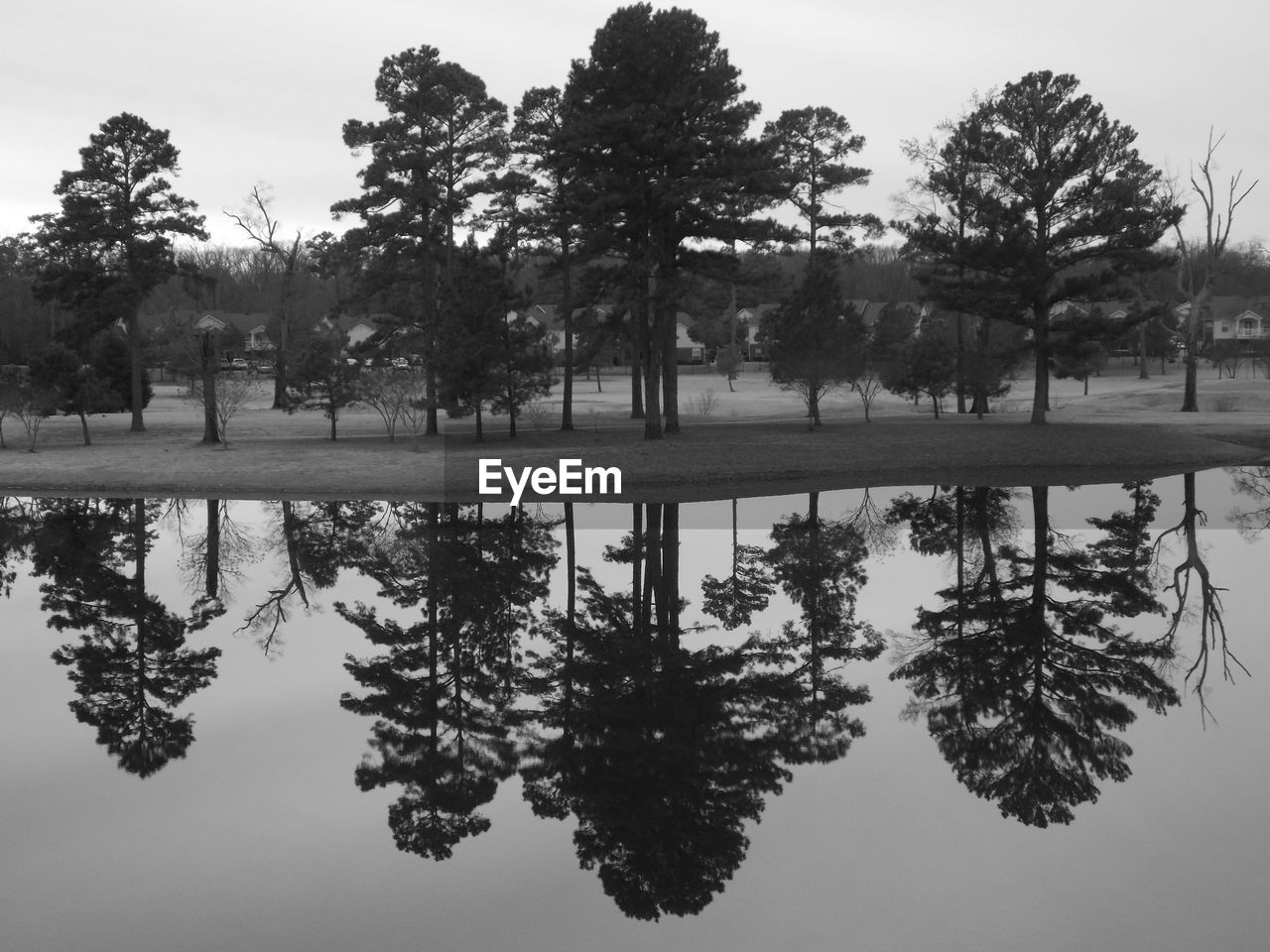 Reflection of trees in lake against sky