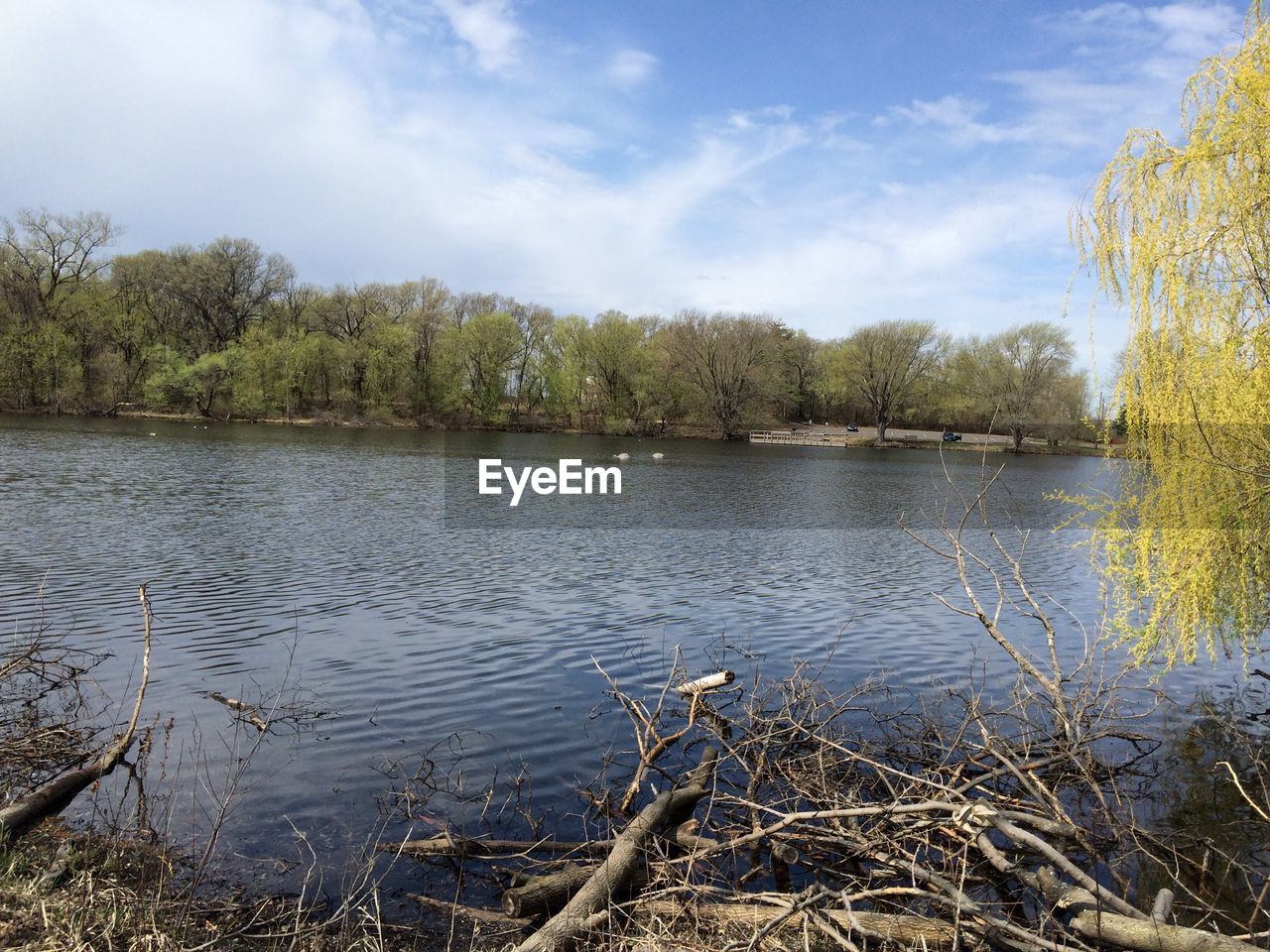 SCENIC VIEW OF LAKE AGAINST SKY IN FOREST