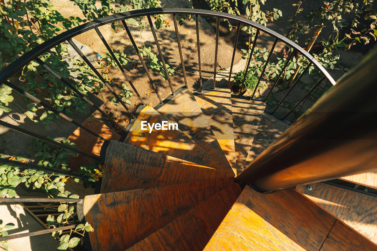 Wooden spiral staircase with grape vine growing around.
