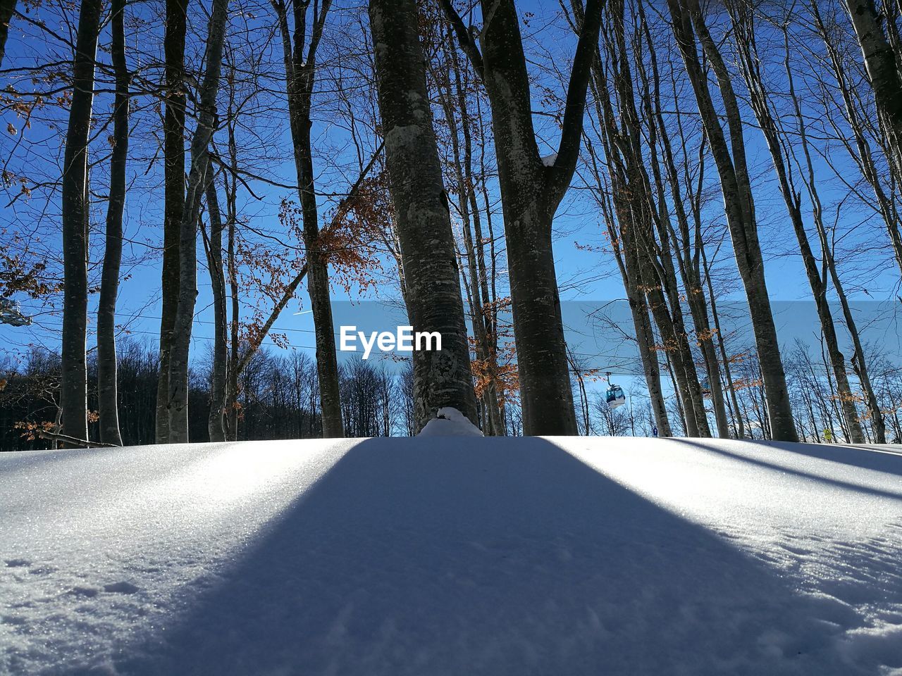 SCENIC VIEW OF SNOW COVERED LANDSCAPE