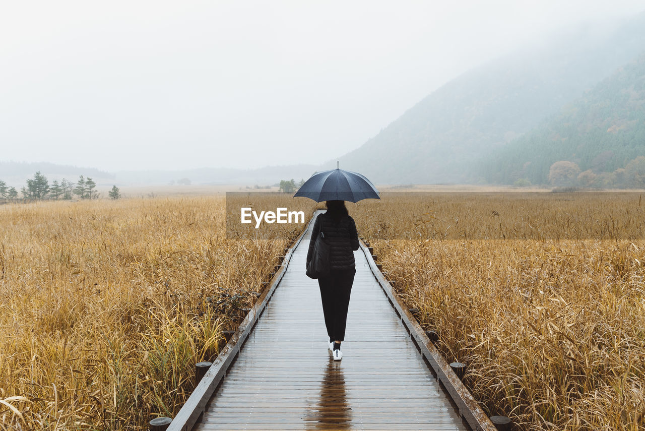 Rear view of woman with umbrella walking on wet boardwalk during rainy season