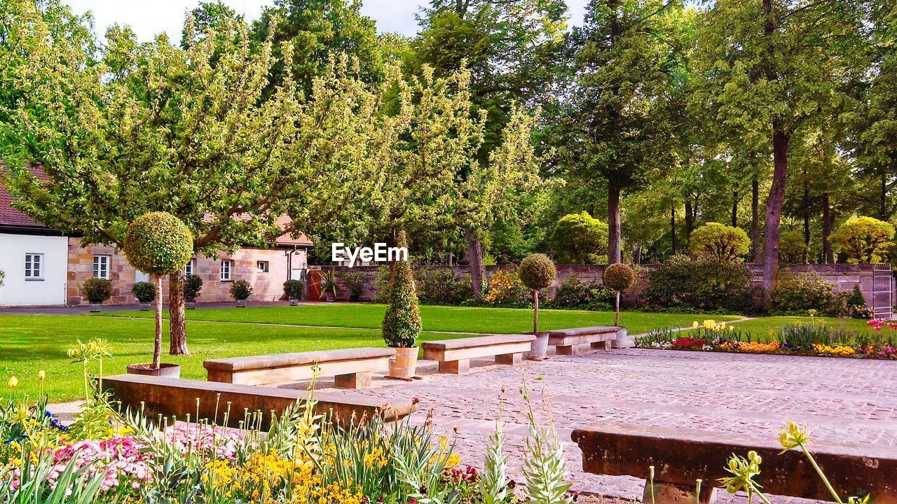 Garden with flowers and trees