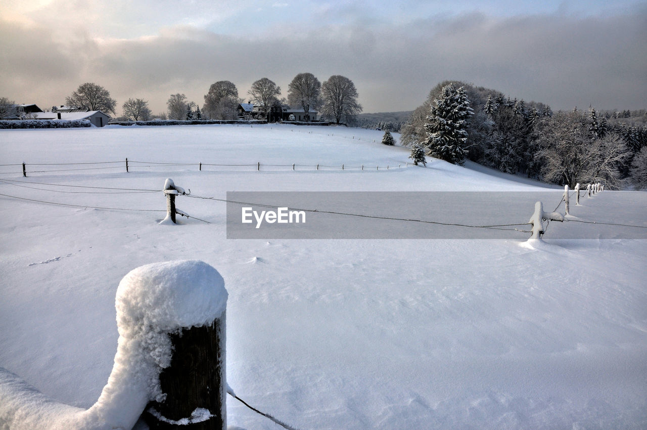 SNOW COVERED FIELD AGAINST TREES