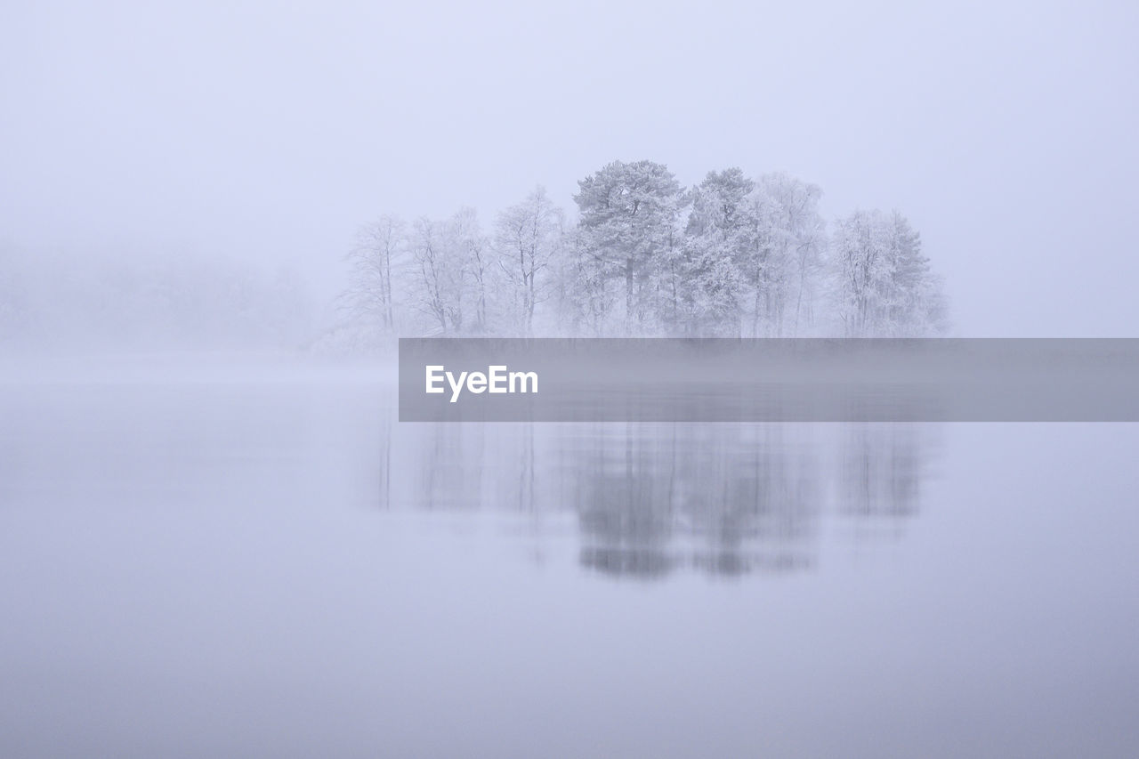 Trees by lake against sky during winter