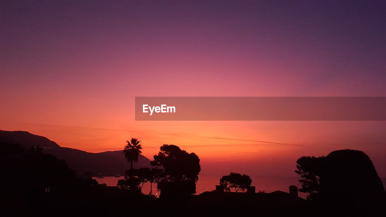 SCENIC VIEW OF SILHOUETTE TREES AGAINST ORANGE SKY