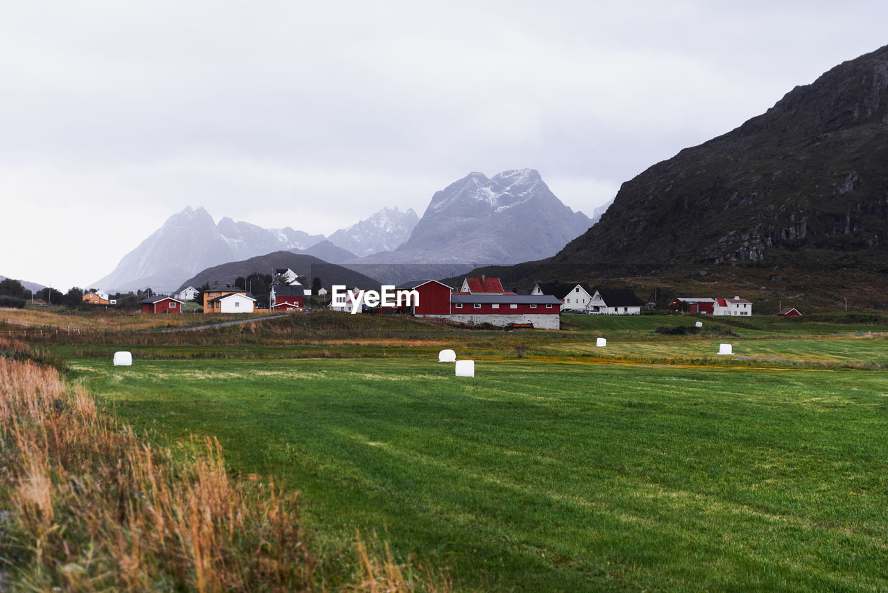 Farm and pasture in the countryside with multiple houses with now capped mountains in lofoten norway