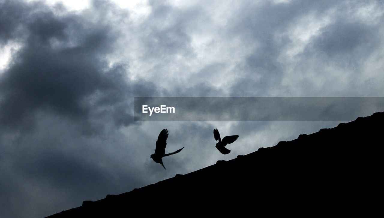 LOW ANGLE VIEW OF BIRDS FLYING OVER CLOUDY SKY