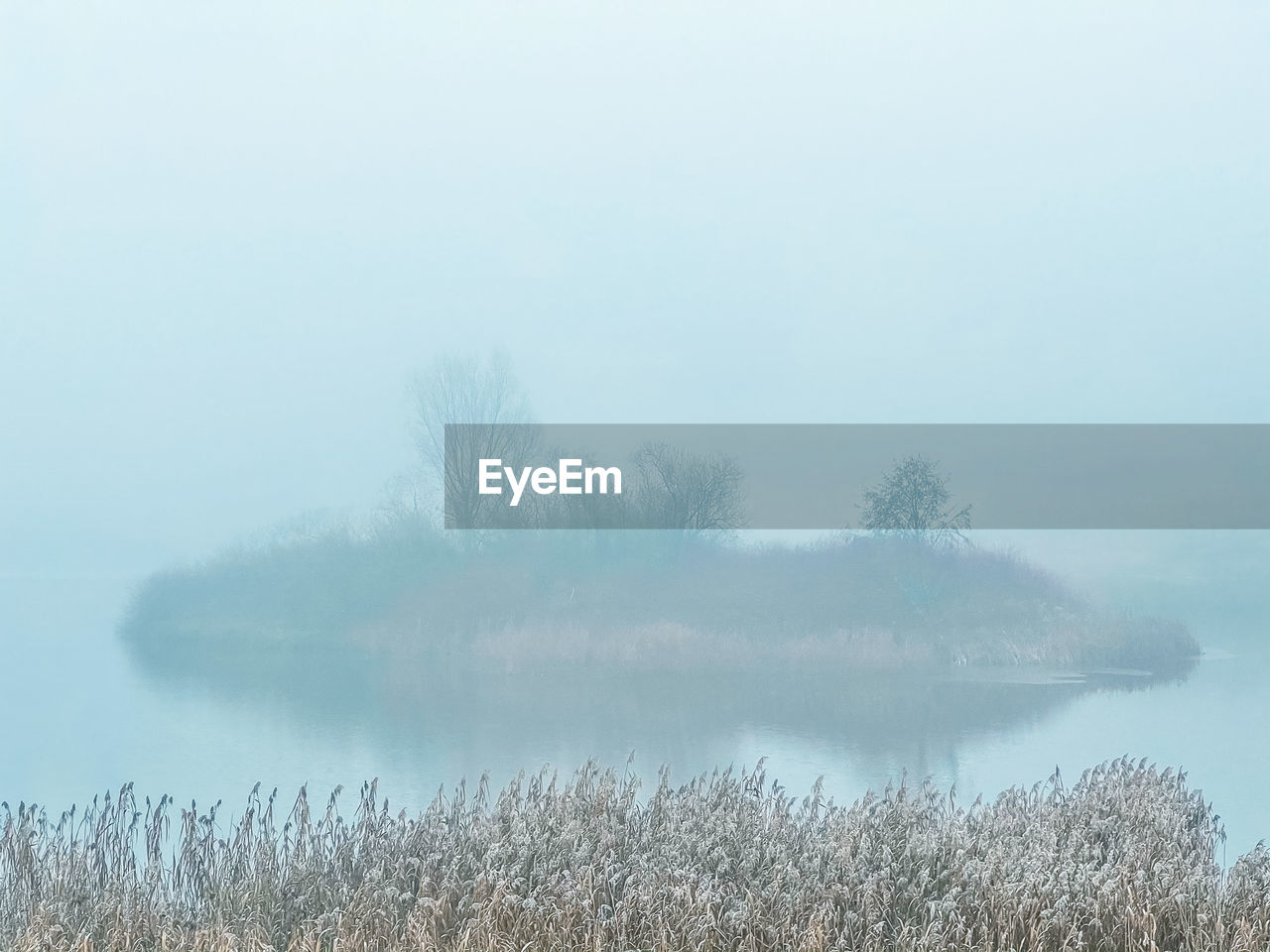 SCENIC VIEW OF LAKE BY TREES AGAINST SKY