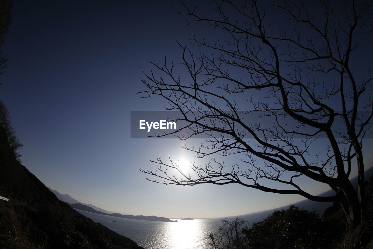 LOW ANGLE VIEW OF SILHOUETTE BARE TREE AGAINST SKY