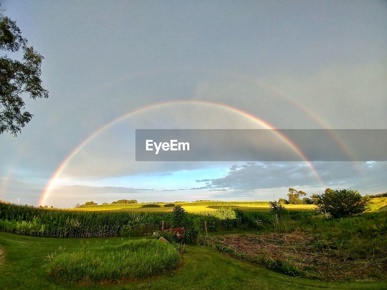 RAINBOW OVER FIELD AGAINST SKY