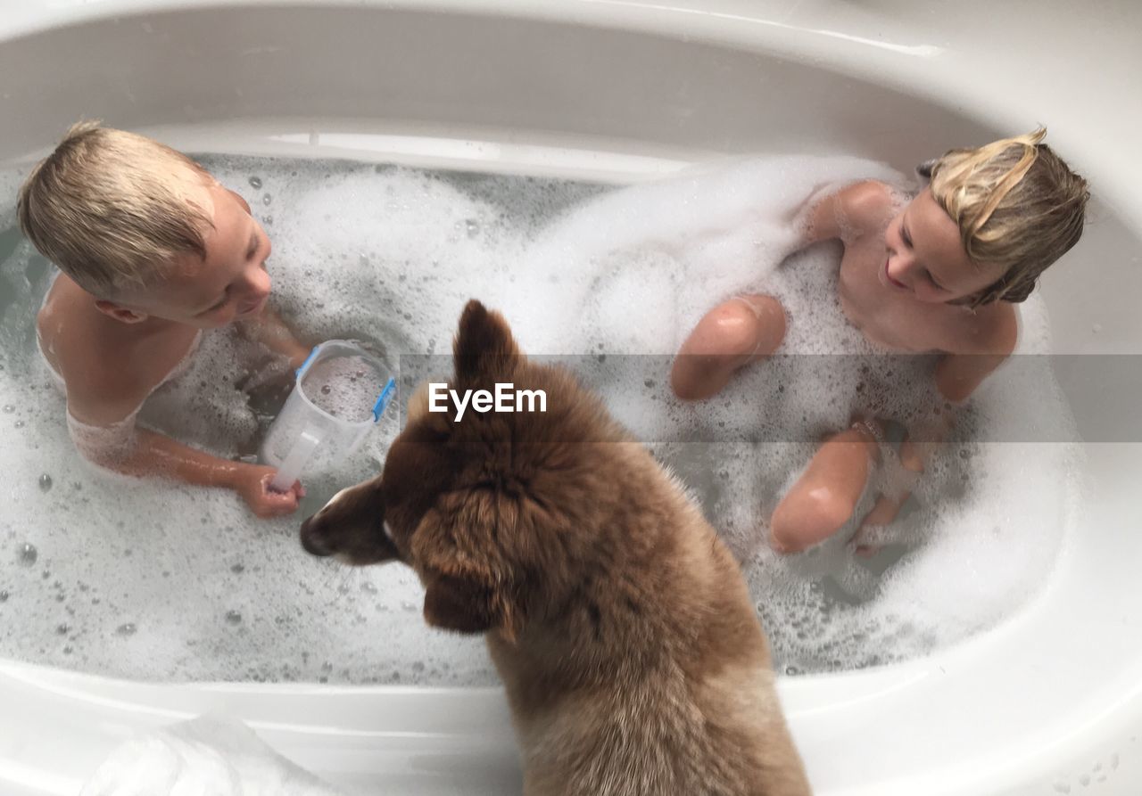 High angle view of children and dog in bathtub