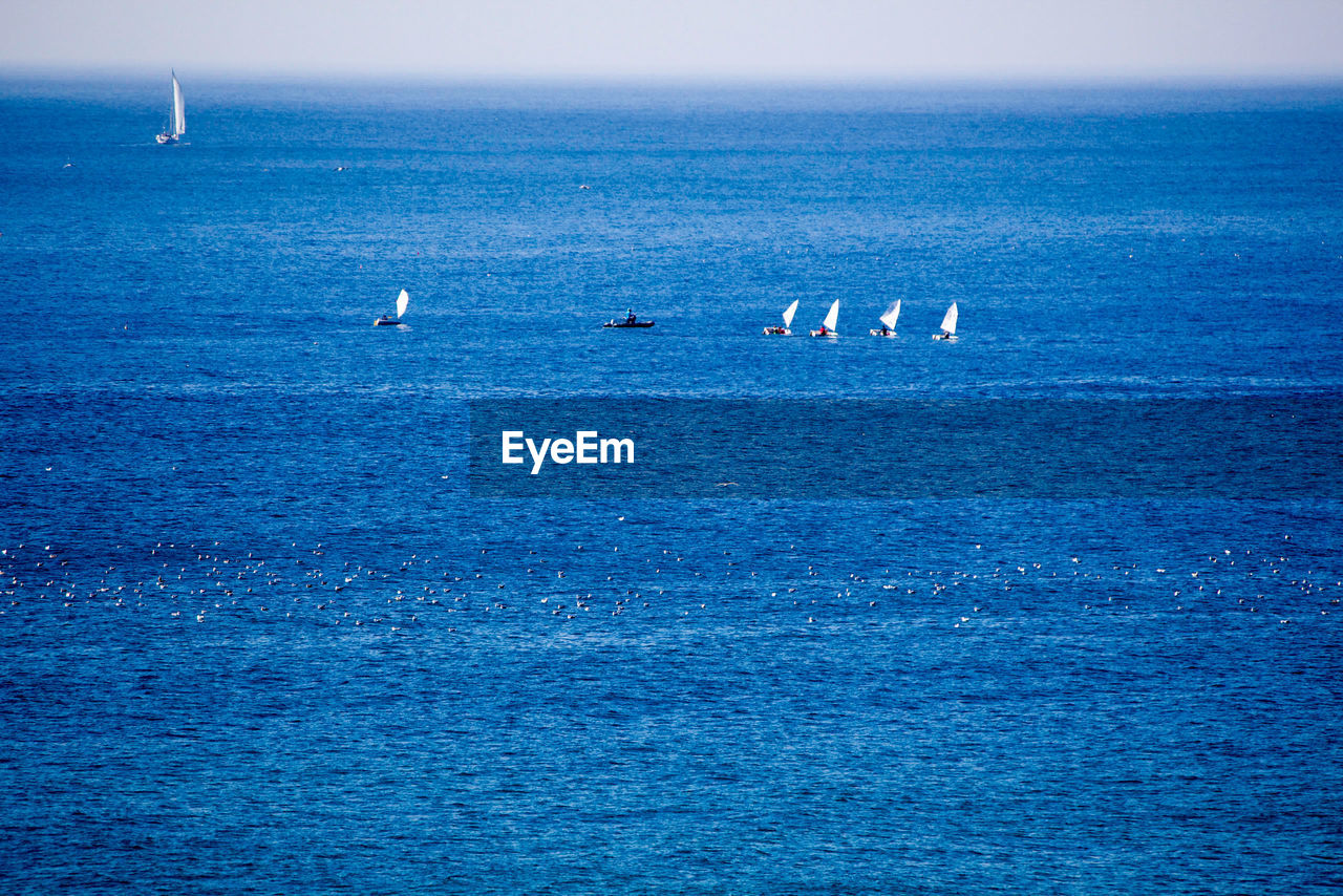 Swans swimming in sea against blue sky