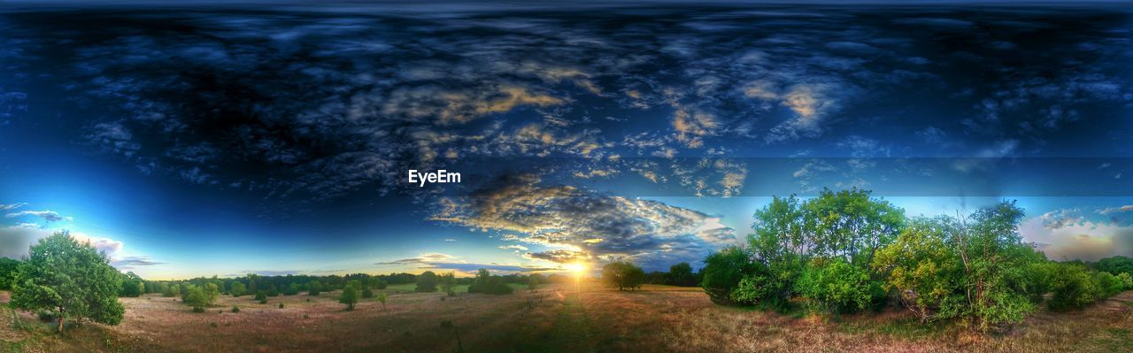Panoramic view of trees on field against cloudy sky during sunset