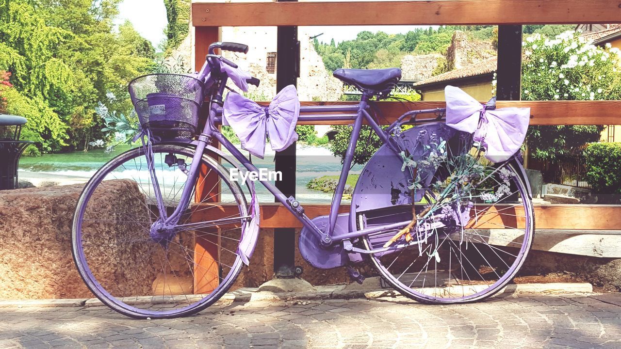 BICYCLE AGAINST TREE