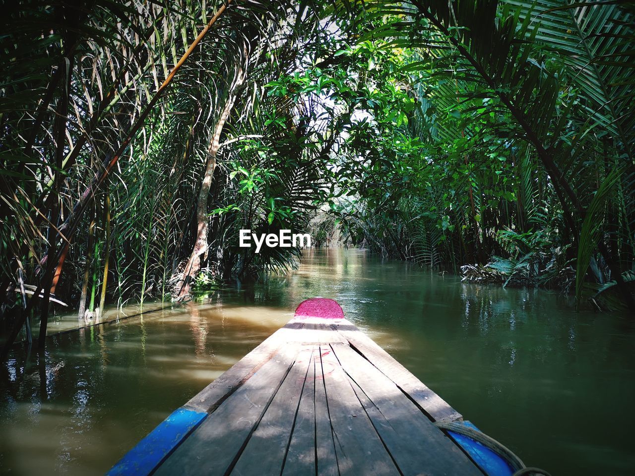 Scenic view from a boat on the mekong delta