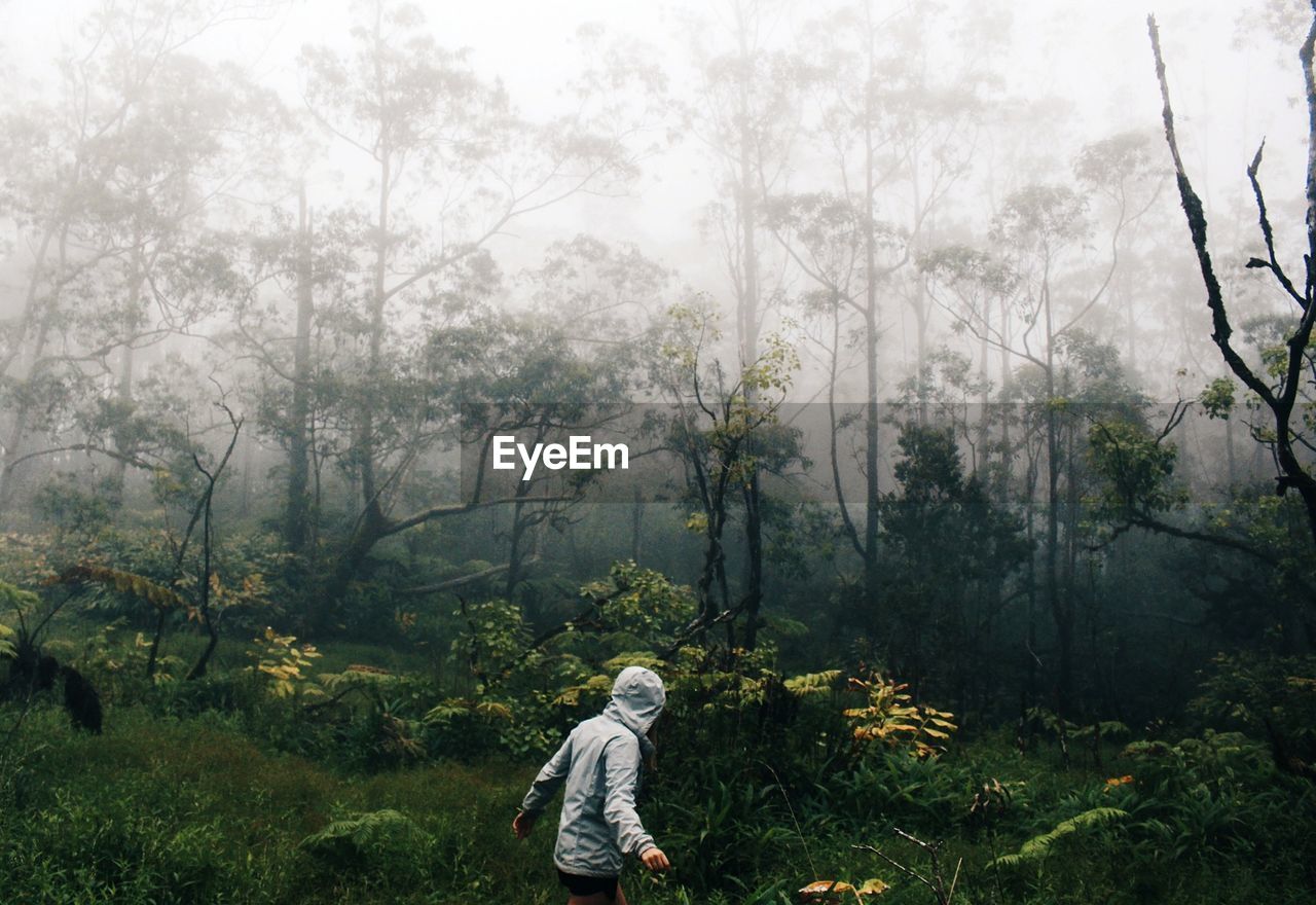 Person in foggy forest