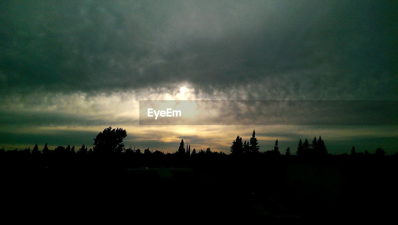 SILHOUETTE OF TREES AGAINST CLOUDY SKY