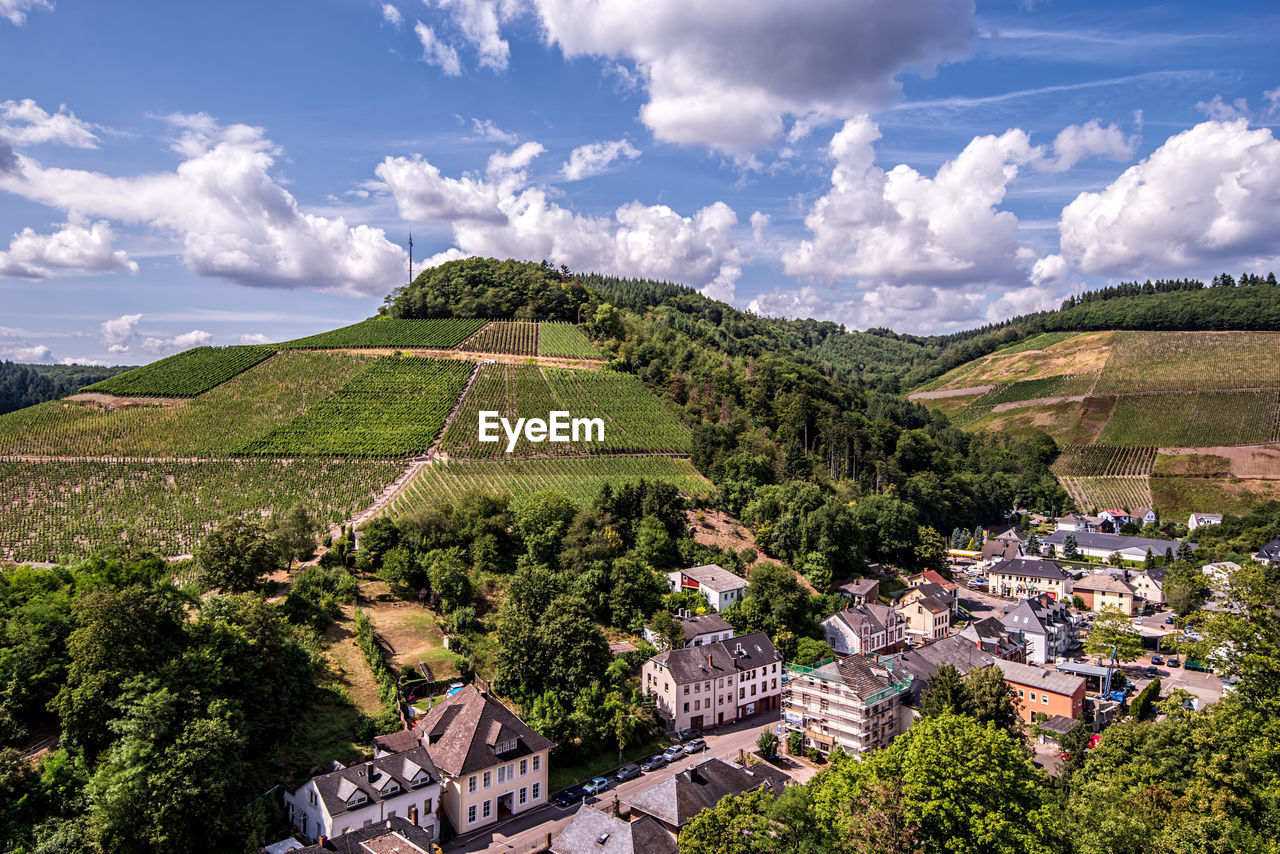 Panoramic view of trees and buildings against sky