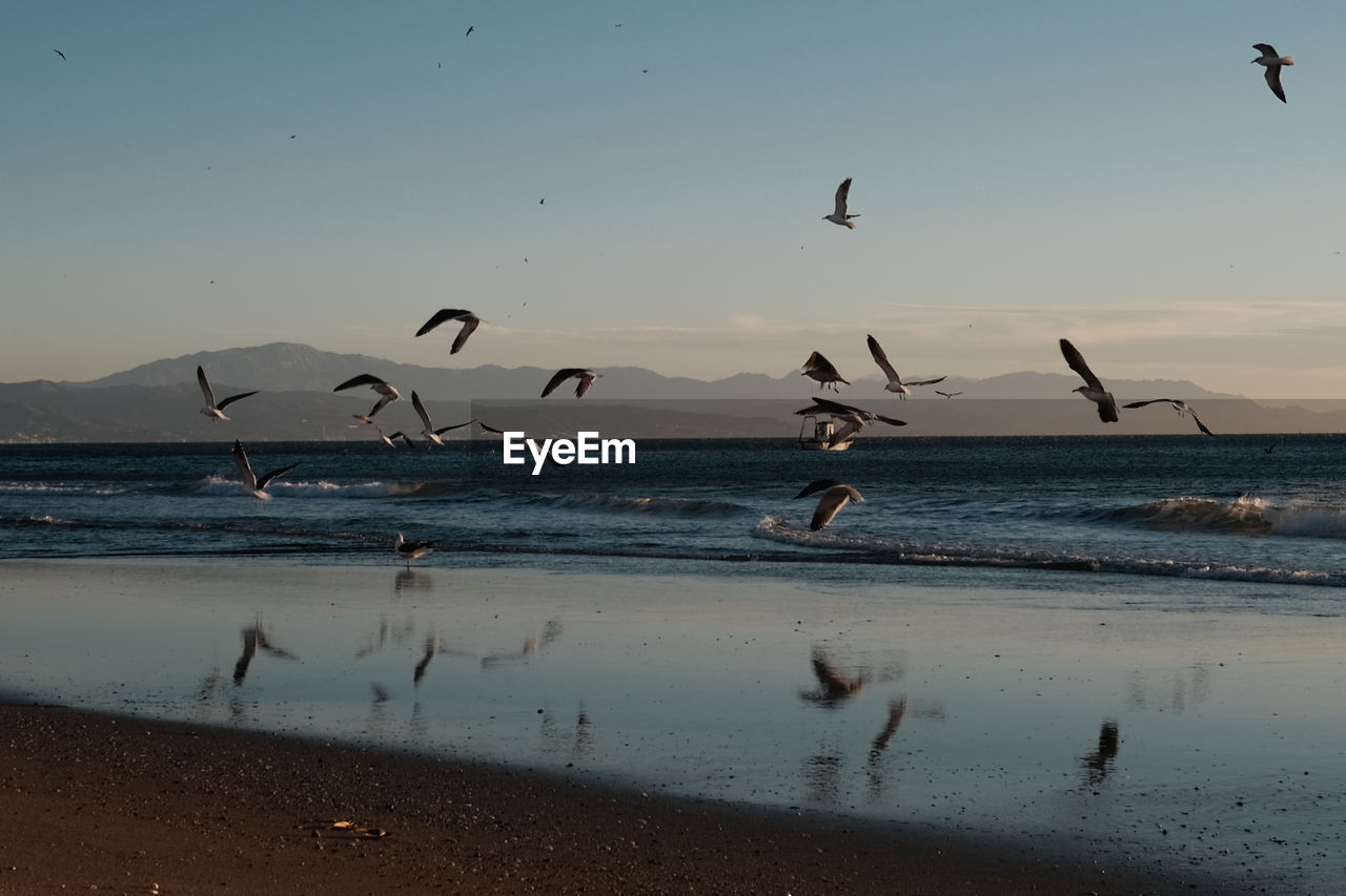 Beach winter morning 