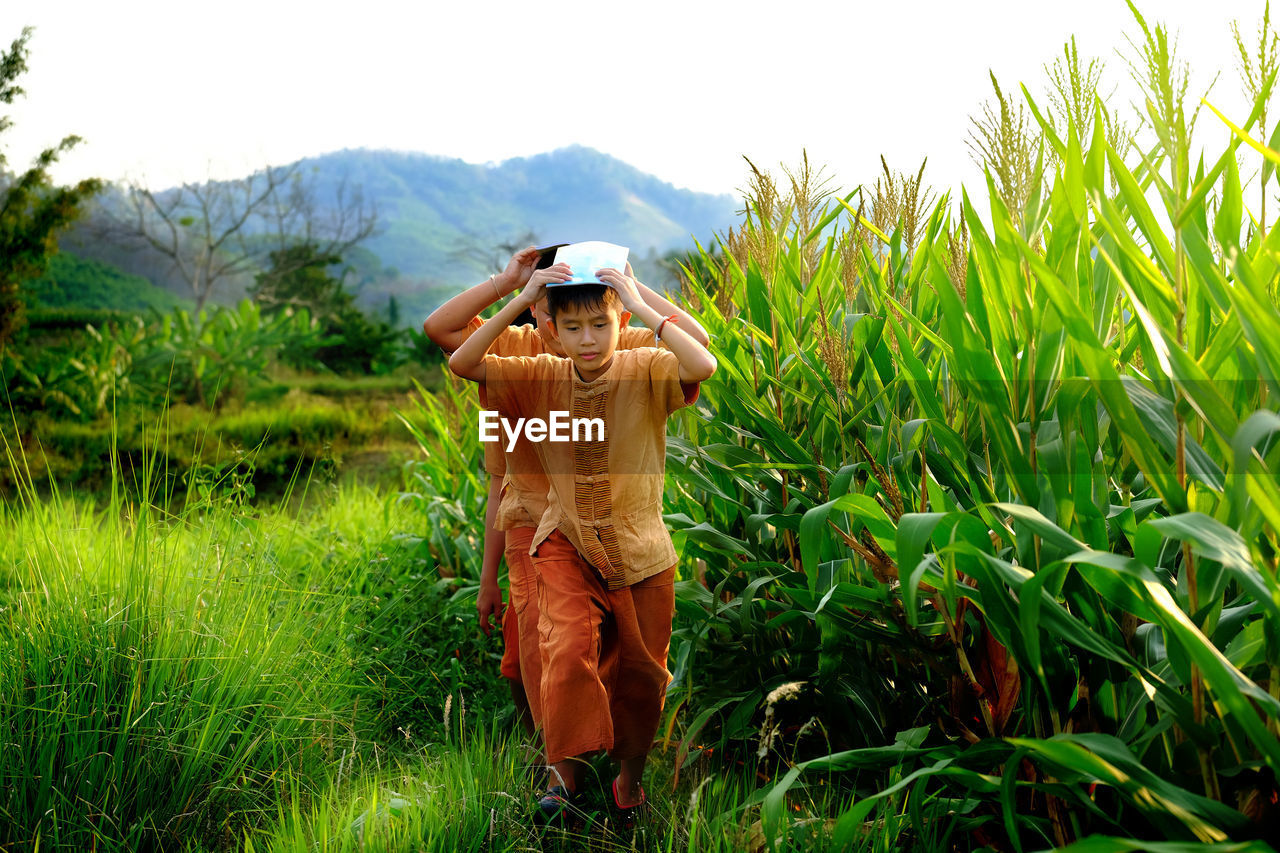 Boys walking amidst plants on field