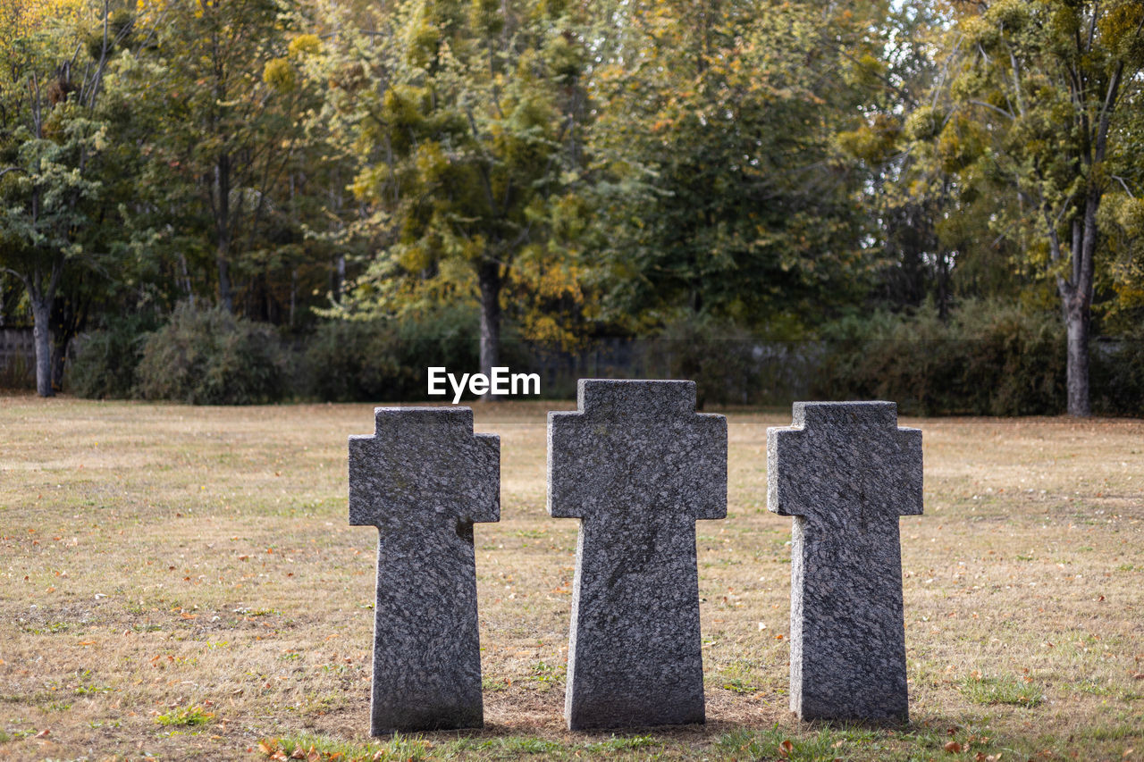 Stone tombstones in the german cemetery in the fall. beautiful german cemetery near kyiv.