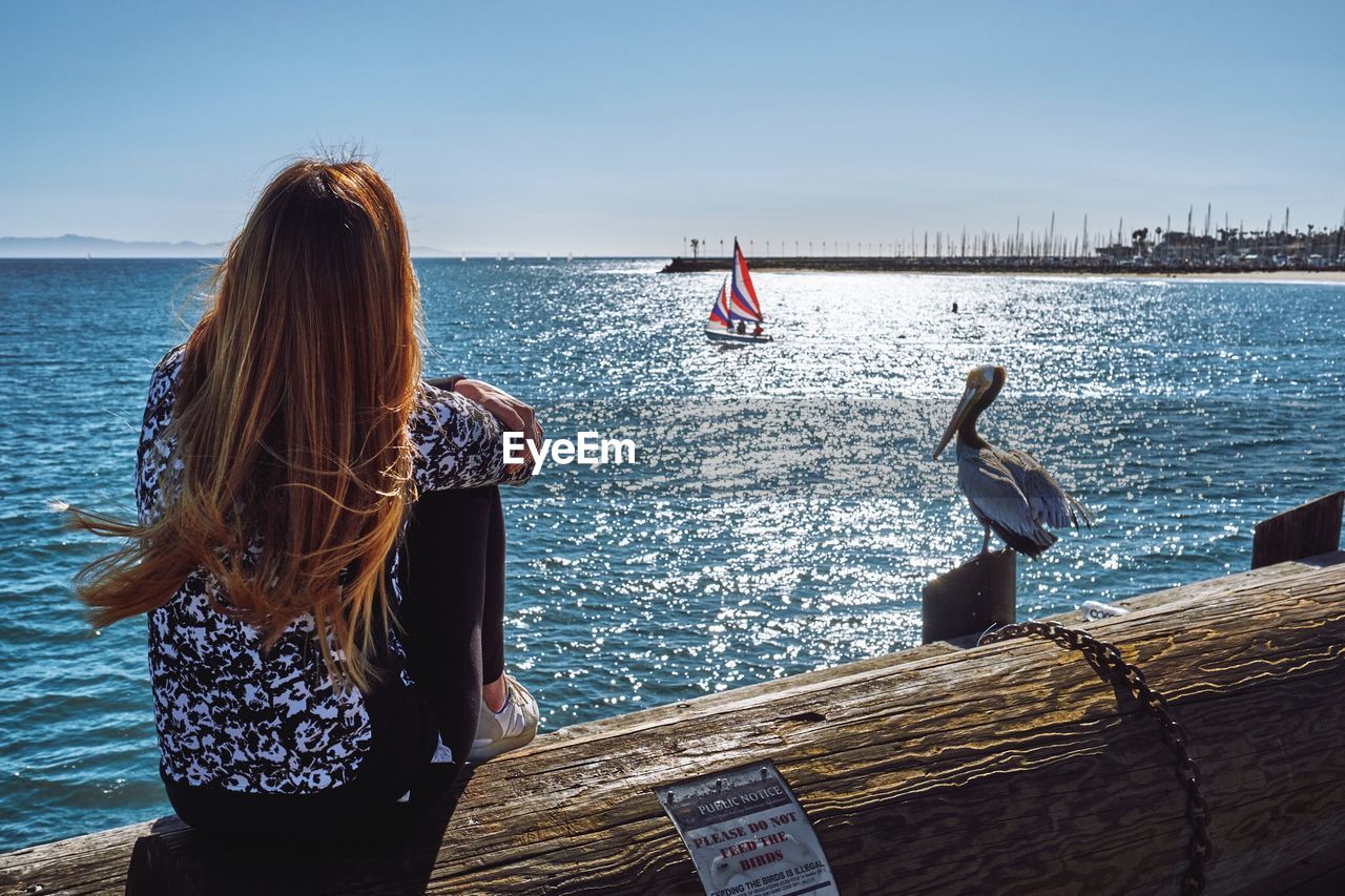 Rear view of woman sitting on wood by sea