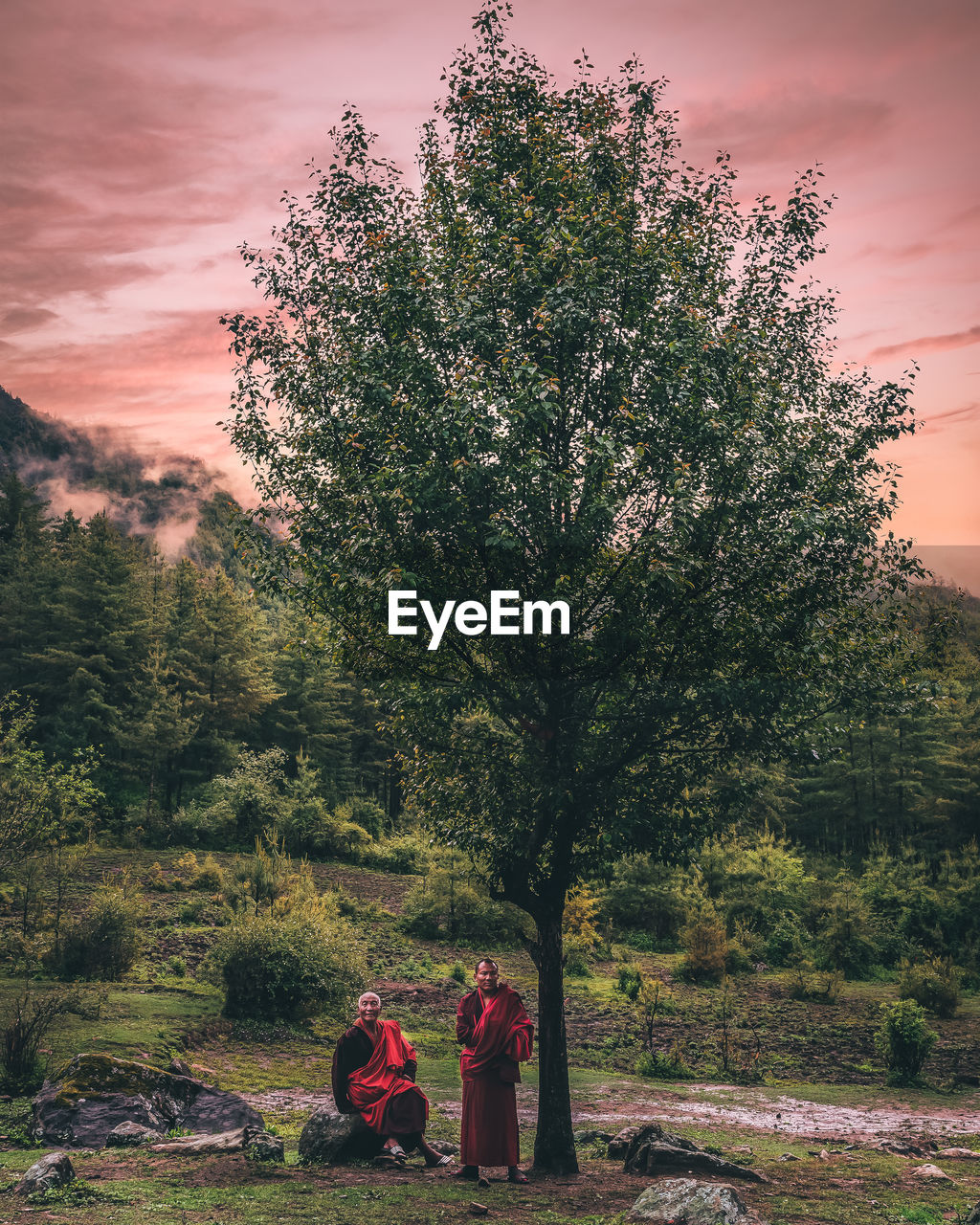 REAR VIEW OF PEOPLE WALKING ON PLANTS