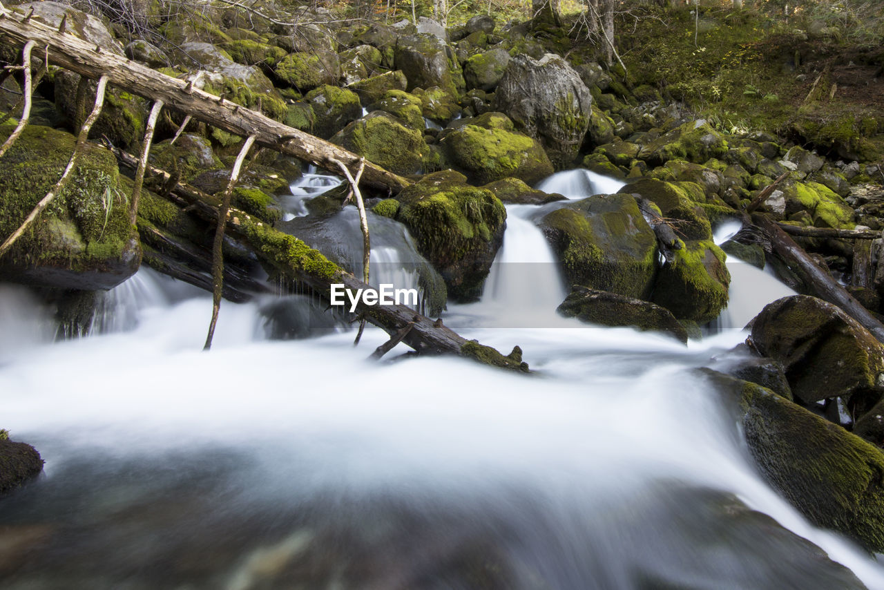 Scenic view of waterfall