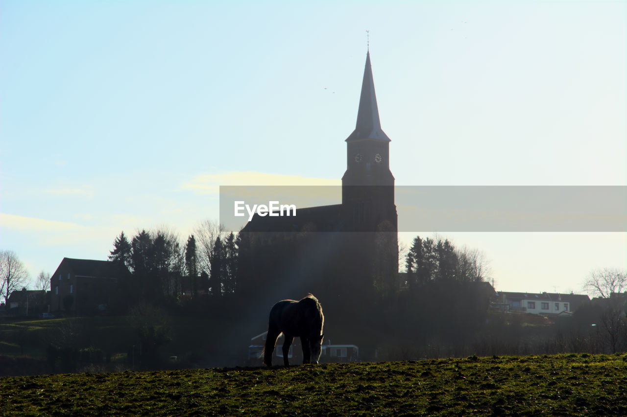 Horse outside church against clear sky