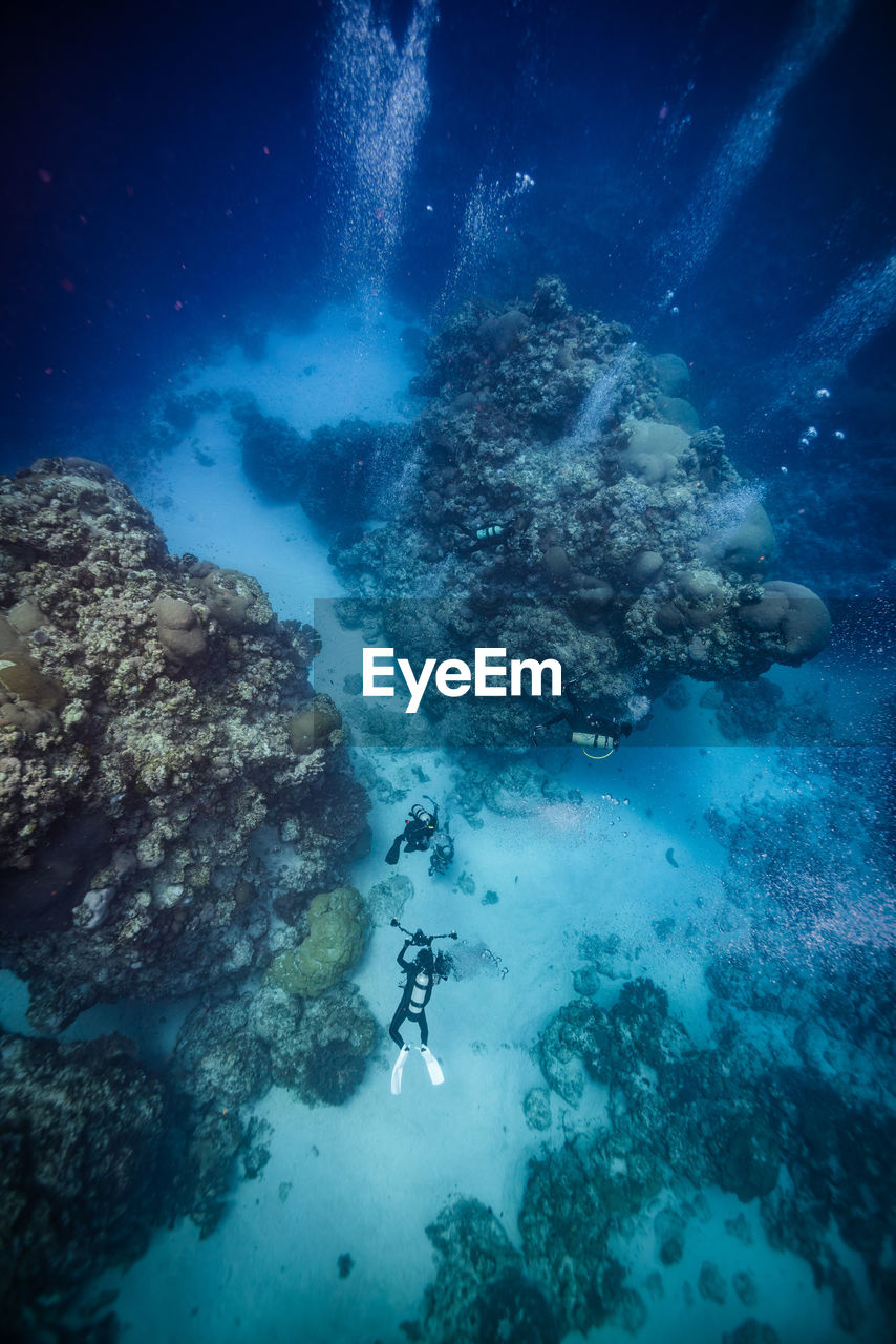 High angle view of scuba divers